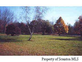 109 Creamery Road Tunkhannock, PA 18657 - Photo 3 of 7 a view of a yard with a tree