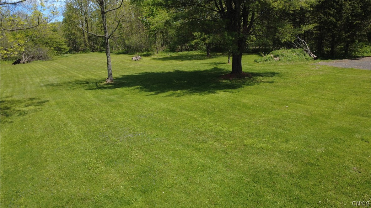 0 Brown Road Adams, NY 13605 - Photo 7 of 30