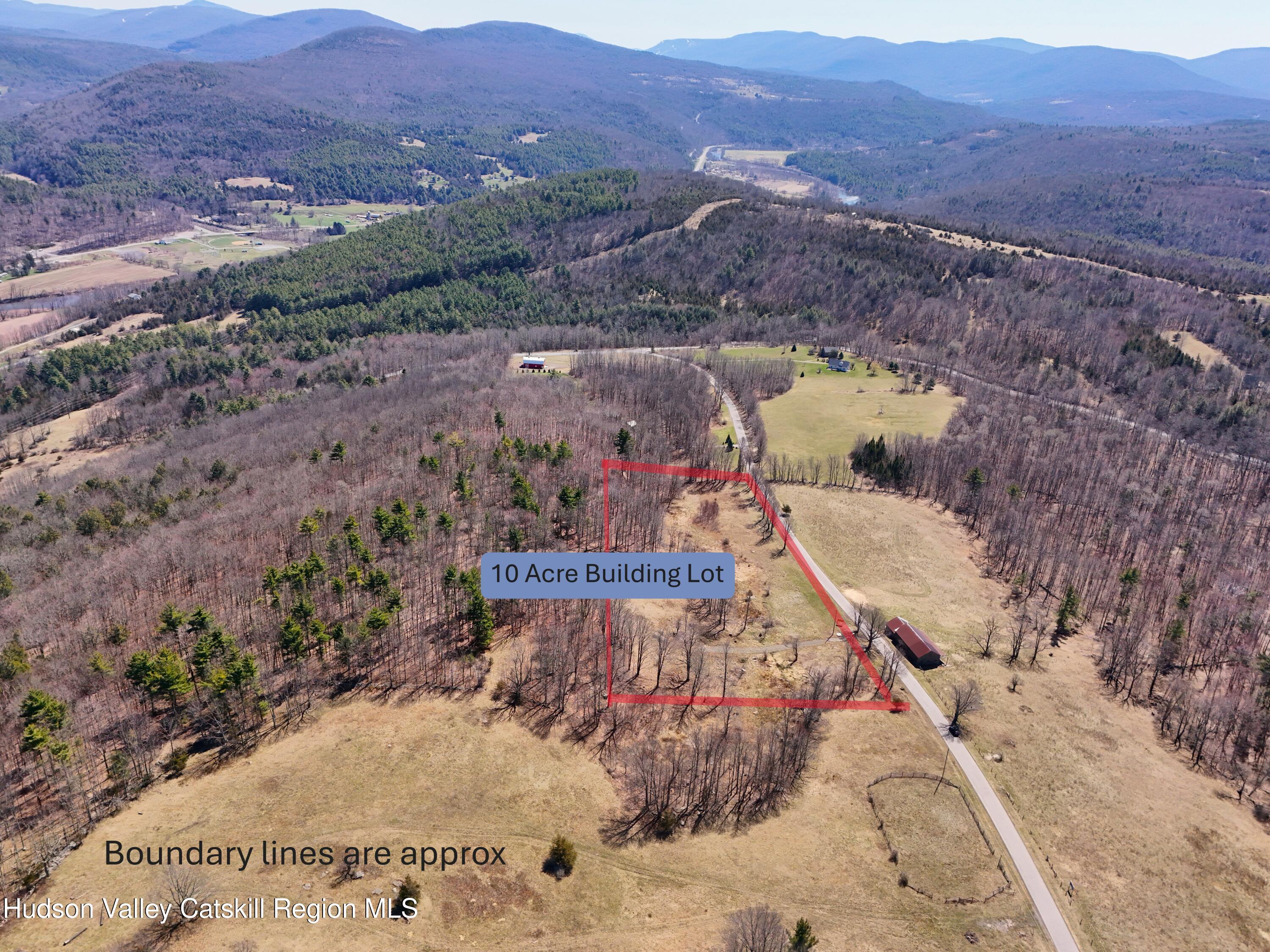 172 Hank Oliver Road Prattsville, NY 12468 - Photo 3 of 27 Tait boundary line East View