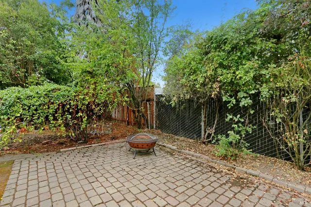 a view of a backyard with plants and trees