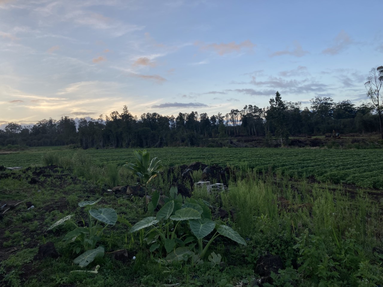 18-1585 Lot A Volcano Road Mountain View, HI 96771 - Photo 1 of 2