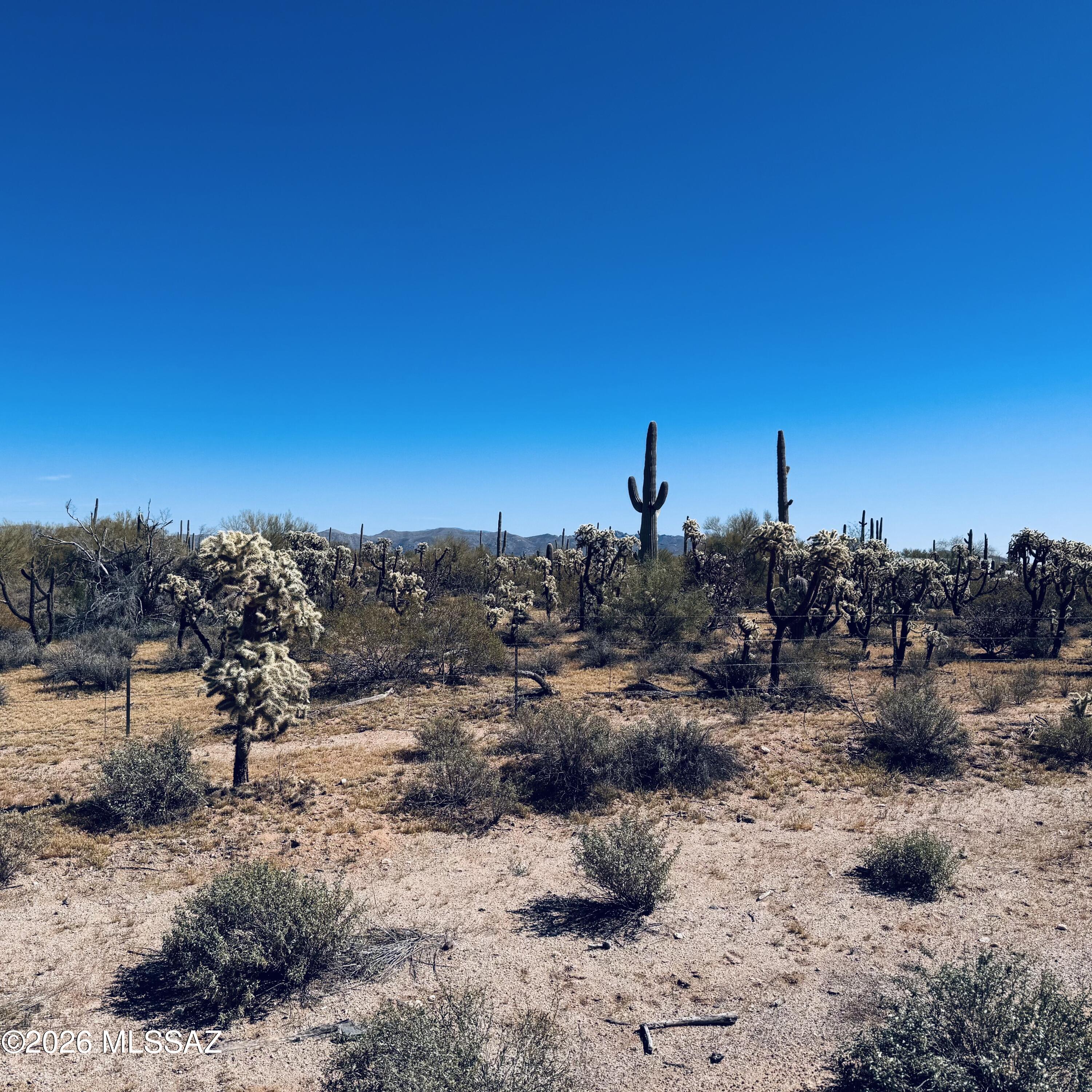 0 South Cattle Tank Road Marana, AZ 85658 - Photo 13 of 18 IMG_3137