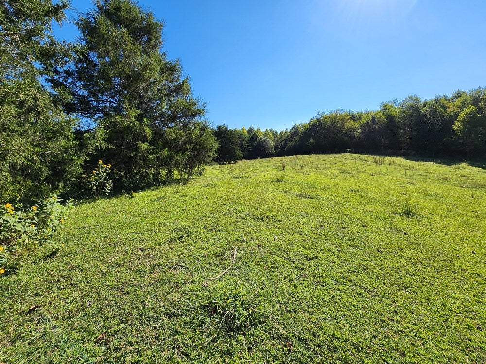 4465 Harmony Road Long Island, VA 24569 - Photo 24 of 51 Gallery Image 24