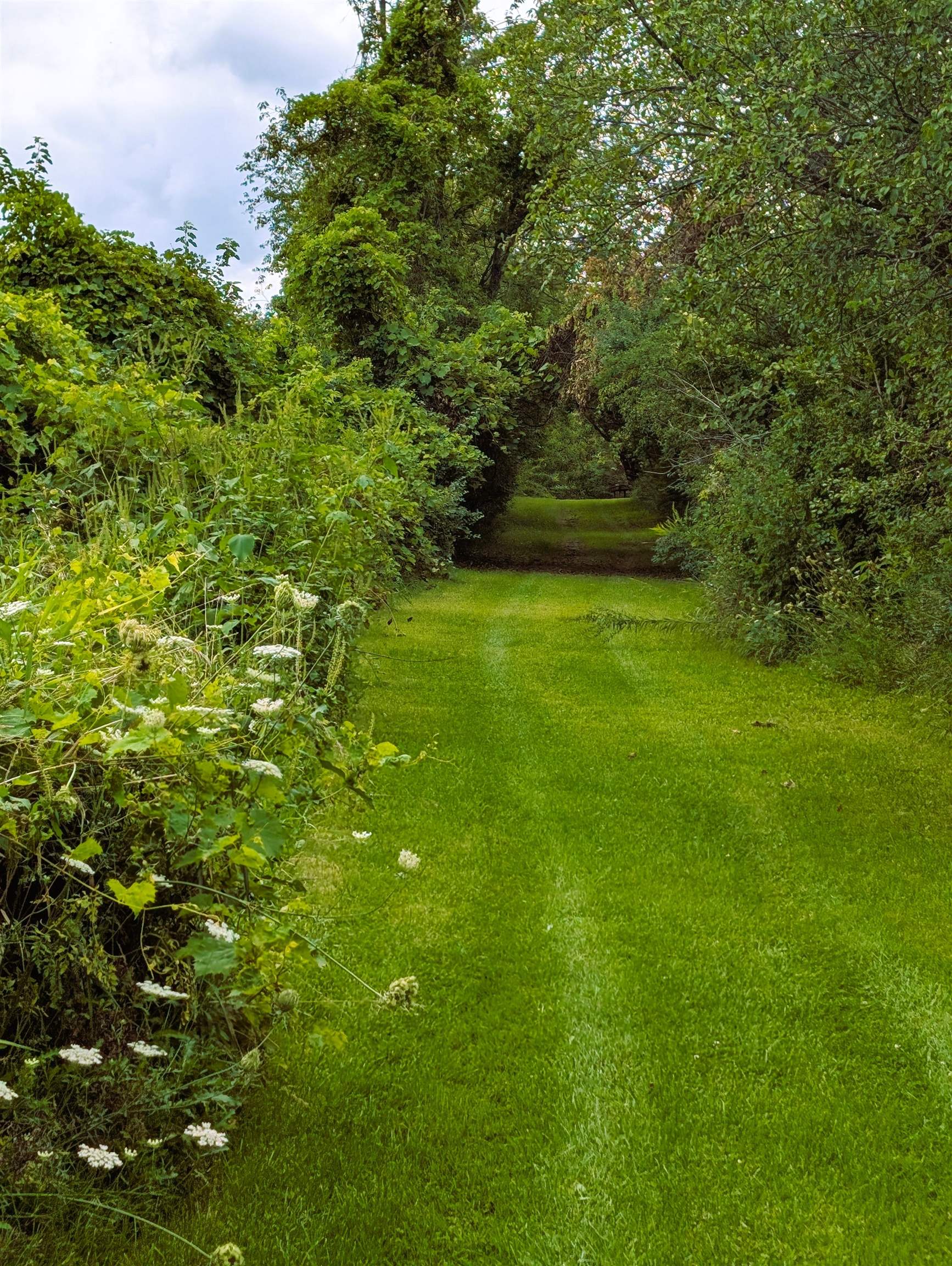 19905 State Line Road Harvard, IL 60033 - Photo 48 of 55 a view of outdoor space and yard