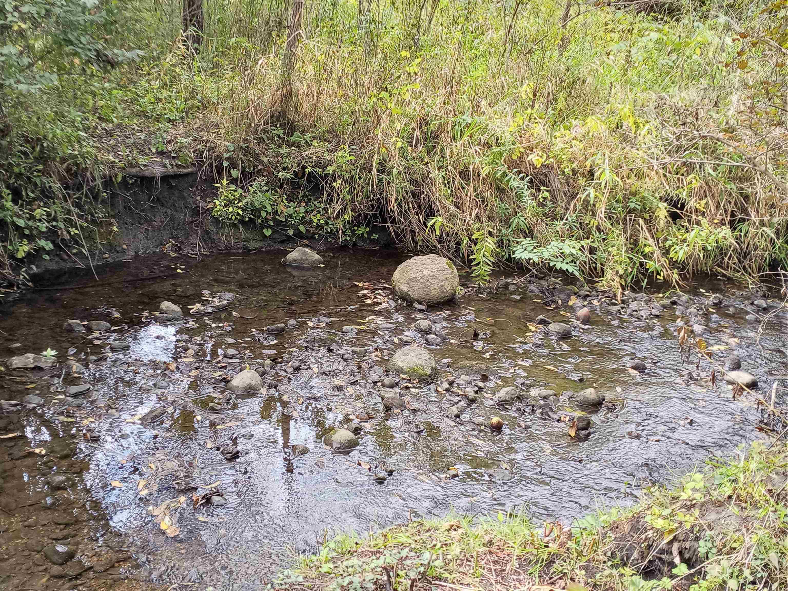 19905 State Line Road Harvard, IL 60033 - Photo 49 of 55