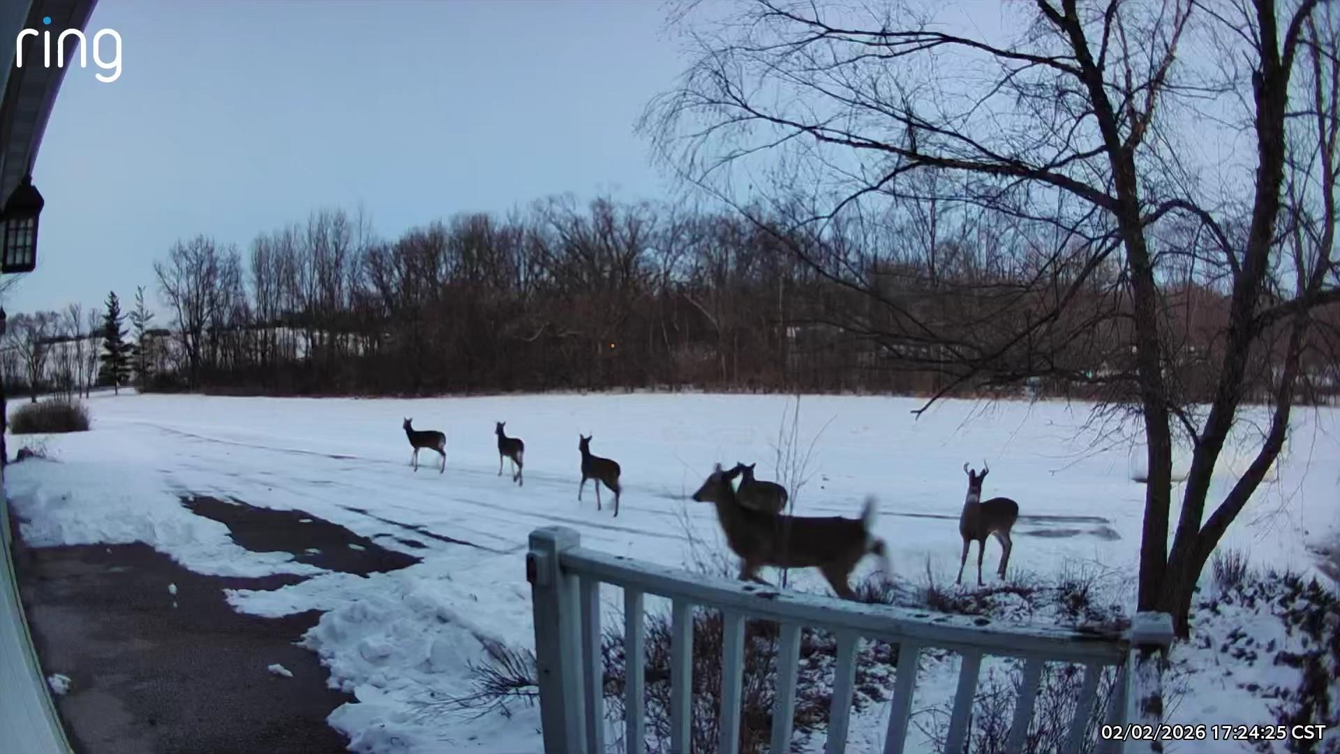 19905 State Line Road Harvard, IL 60033 - Photo 50 of 55