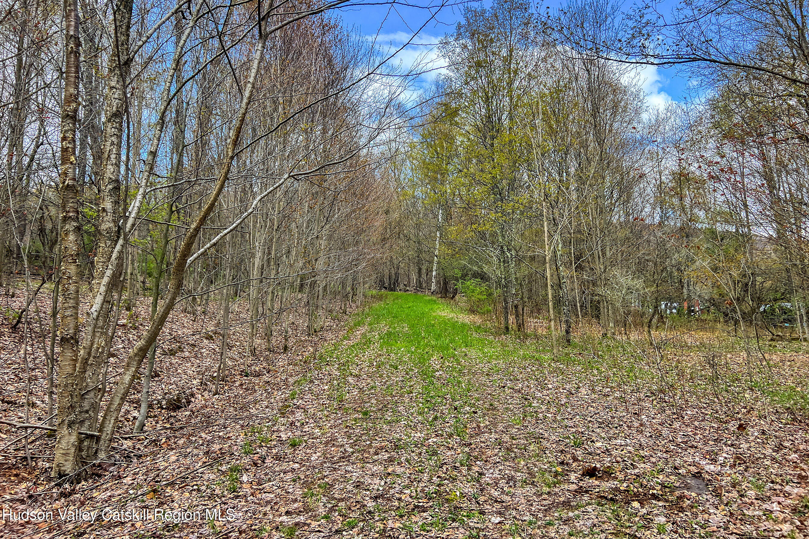 0 Brownell Road Bloomville, NY 13739 - Photo 6 of 39 23 acres Brownell Rd -- 004