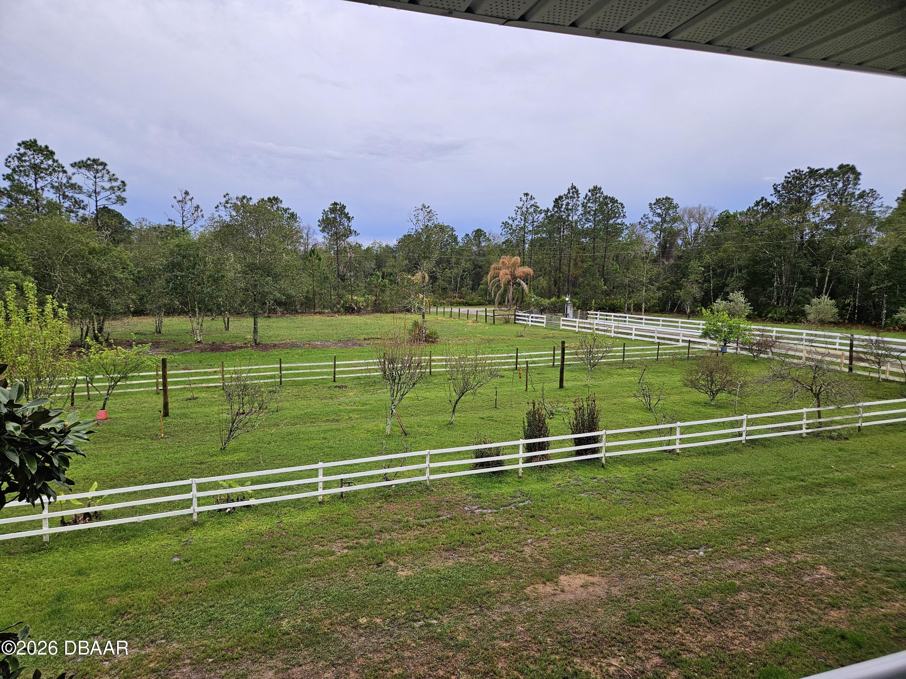 980 Still Road Pierson, FL 32180 - Photo 38 of 49 Large pasture areas for your horses