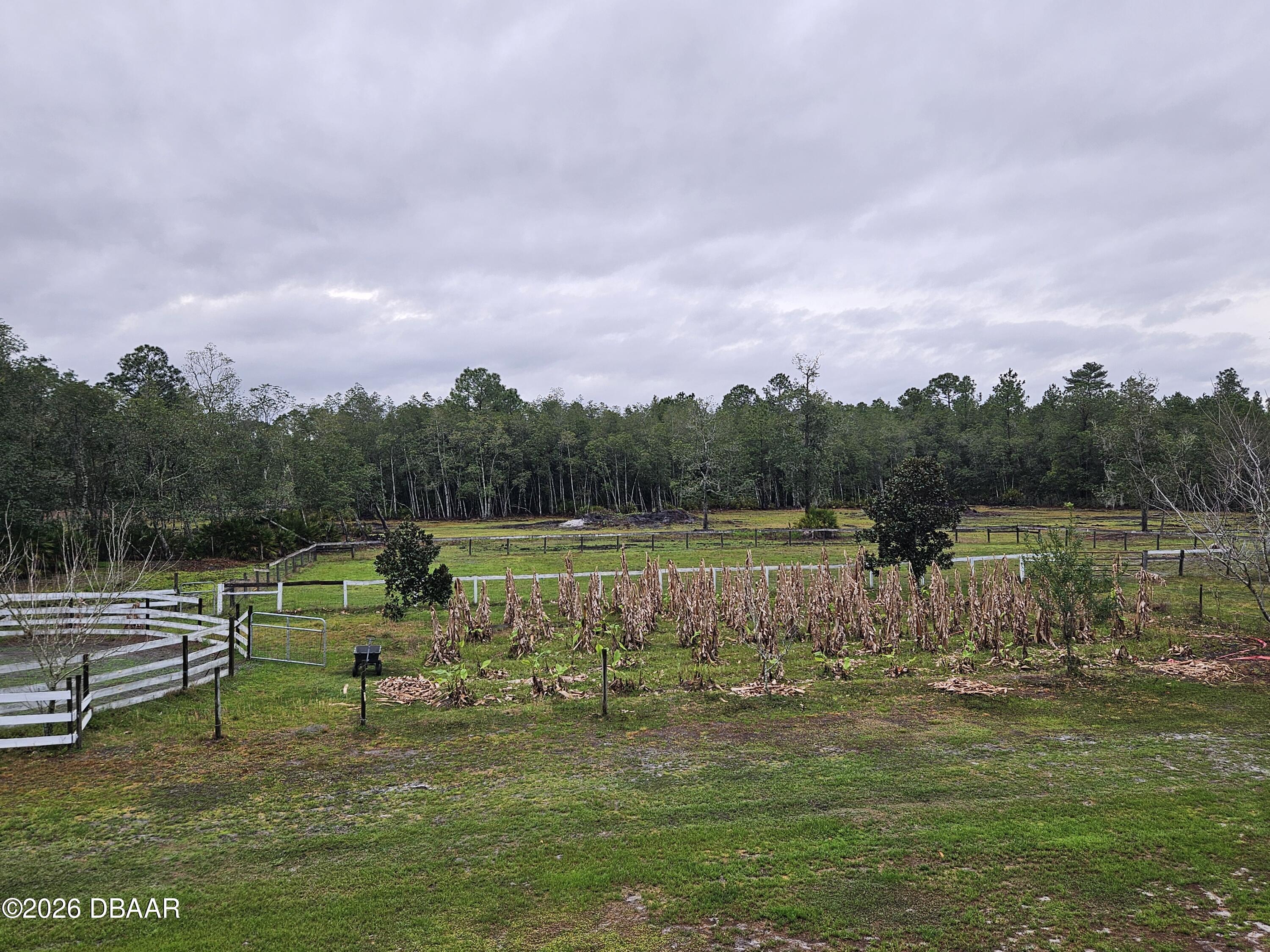 980 Still Road Pierson, FL 32180 - Photo 43 of 49 Large pasture areas for your horses