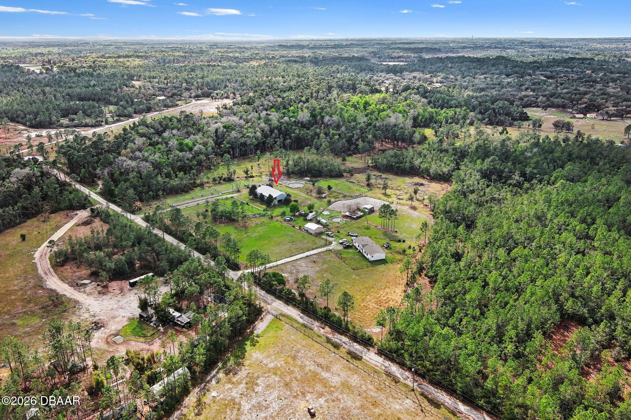 980 Still Road Pierson, FL 32180 - Photo 45 of 49 Beautiful 6 acres property