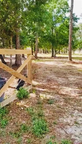 a view of a yard with wooden fence