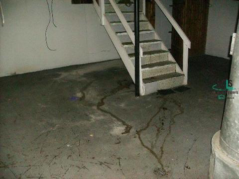 8221 Evergreen Road Detroit, MI 48228 - Photo 9 of 9 129824-8.JPG