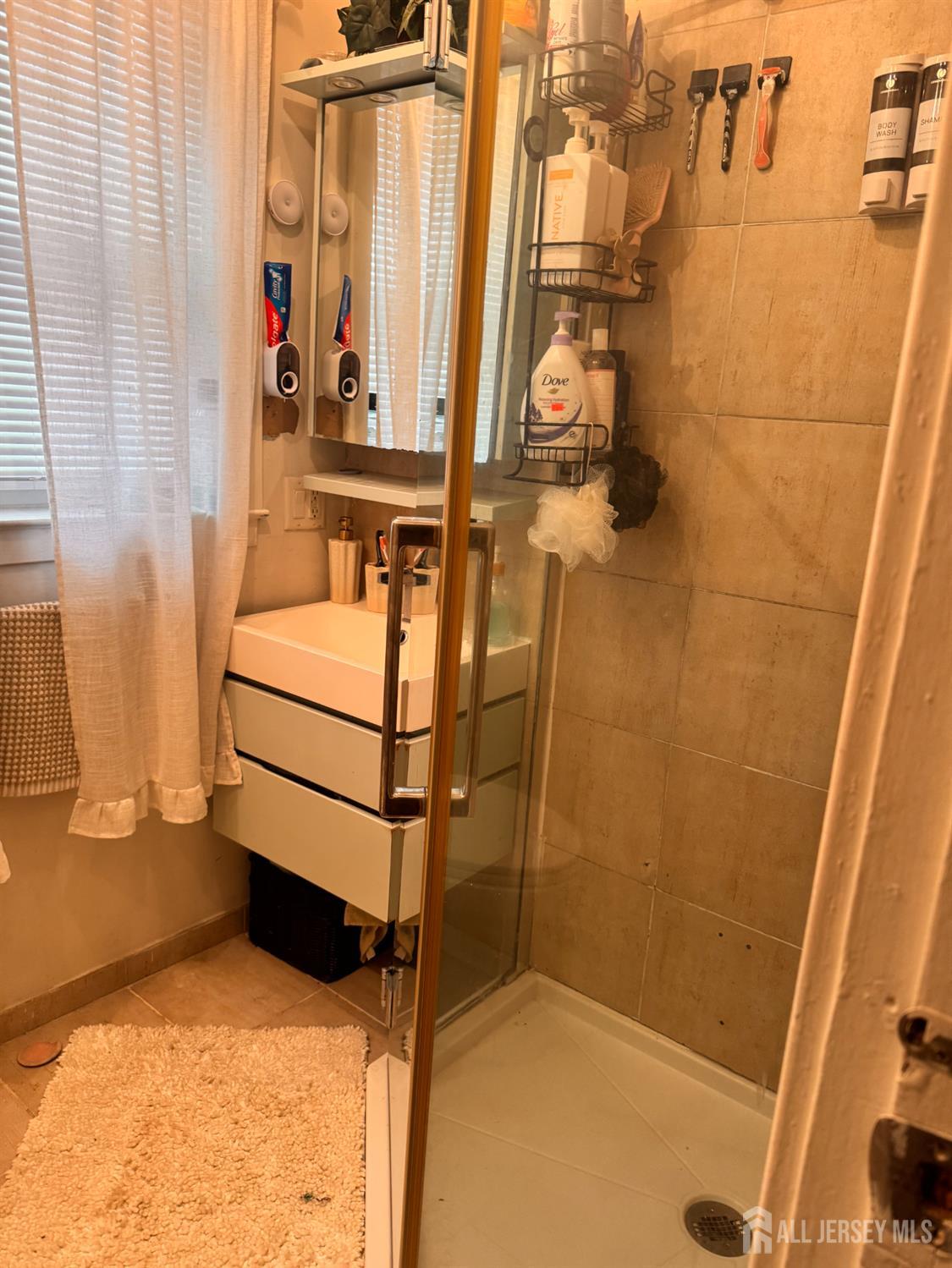 16 Curtis Place New Brunswick, NJ 08901 - Photo 10 of 18 a view of walk in closet