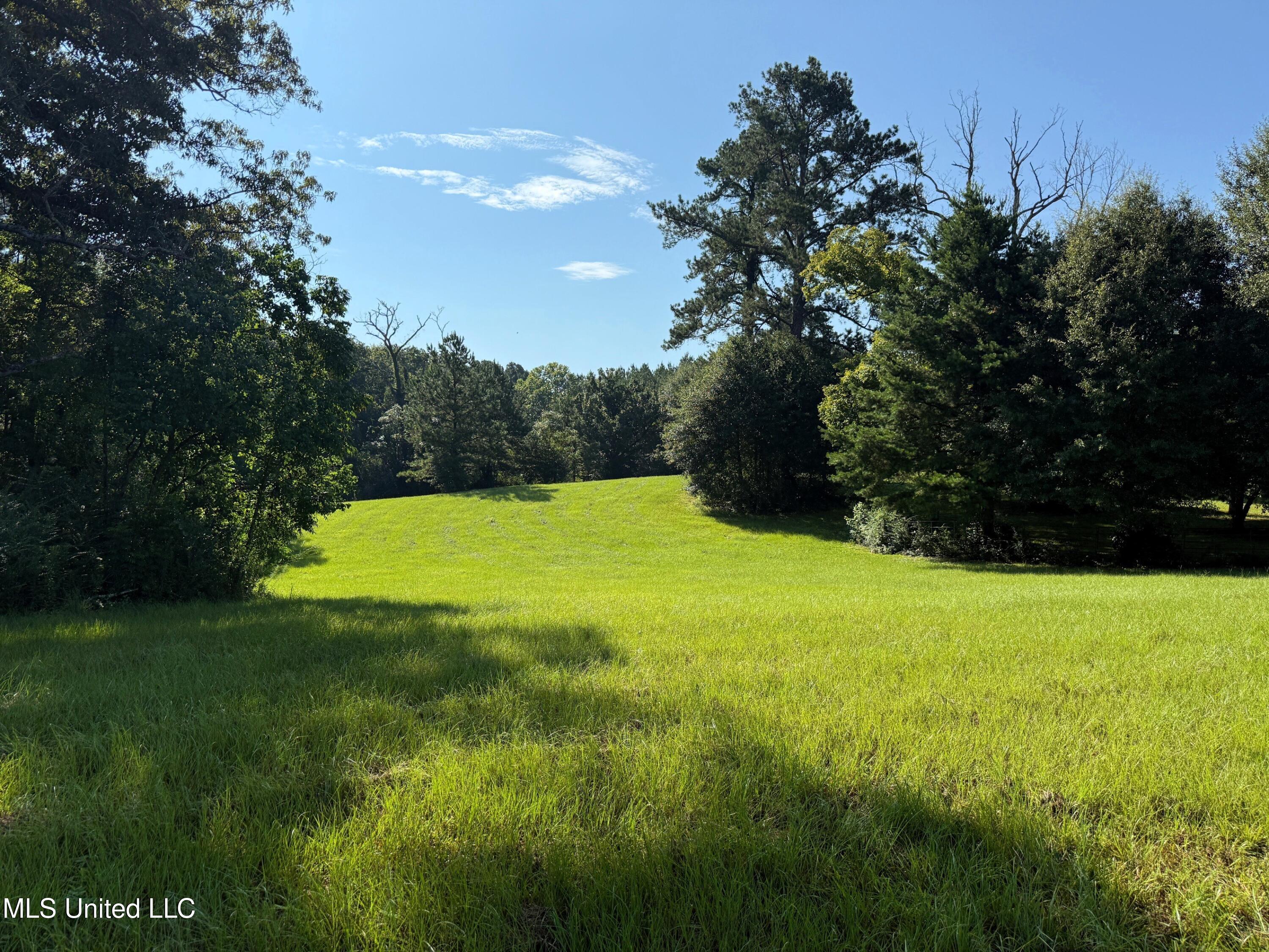 1156 Boone Road McComb, MS 39648 - Photo 13 of 50 IMG_2195