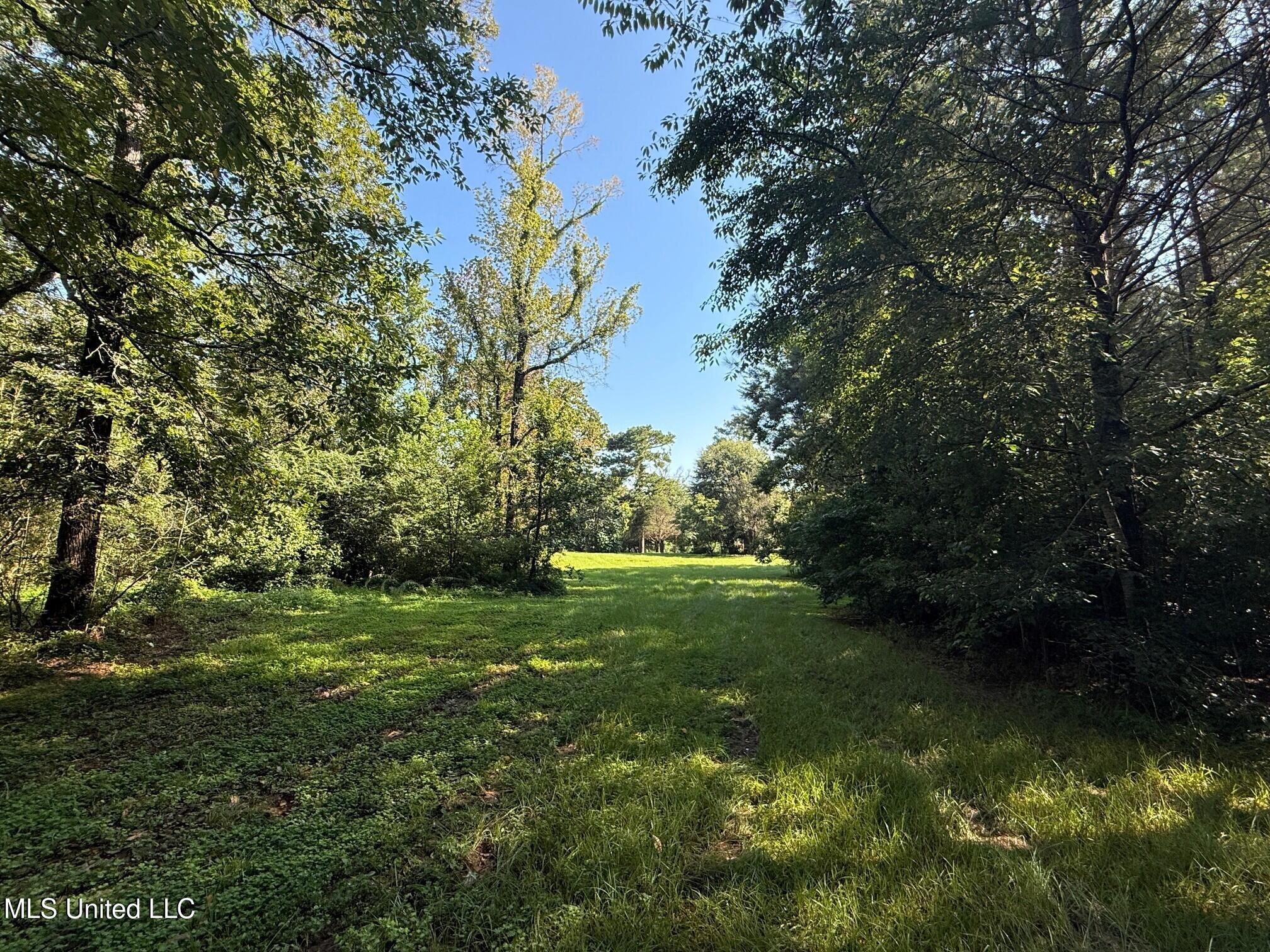 1156 Boone Road McComb, MS 39648 - Photo 23 of 50 IMG_2205