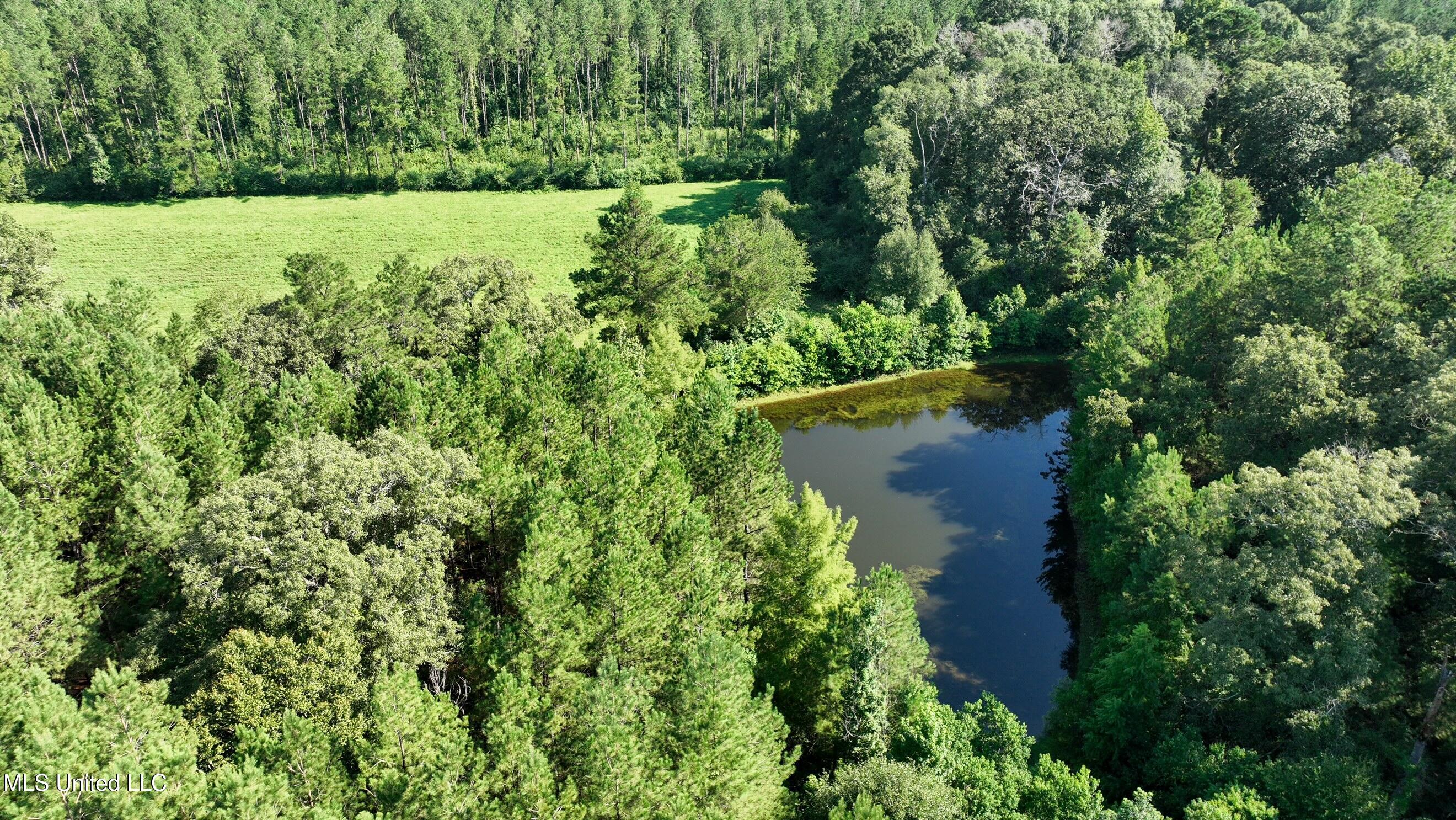 DJI_0560