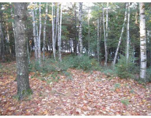 15 Deer Ridge Road Corinna, ME 04928 - Photo 4 of 20 Land.