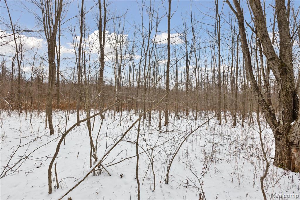 0 French Line Road Sandusky, MI 48471 - Photo 9 of 25