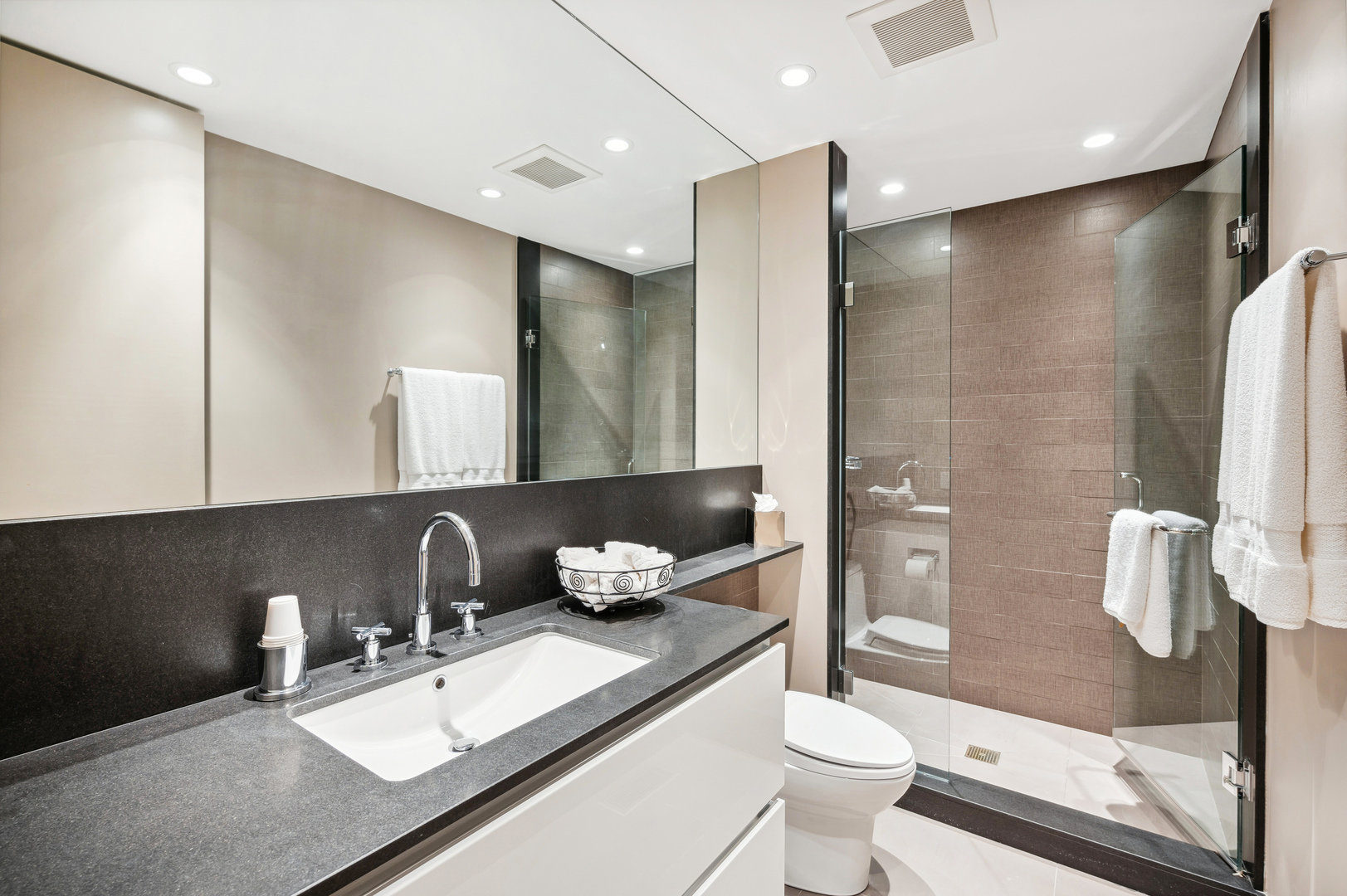 2700 Point Drive Highland Park, IL 60035 - Photo 14 of 22 a bathroom with a sink a toilet and shower