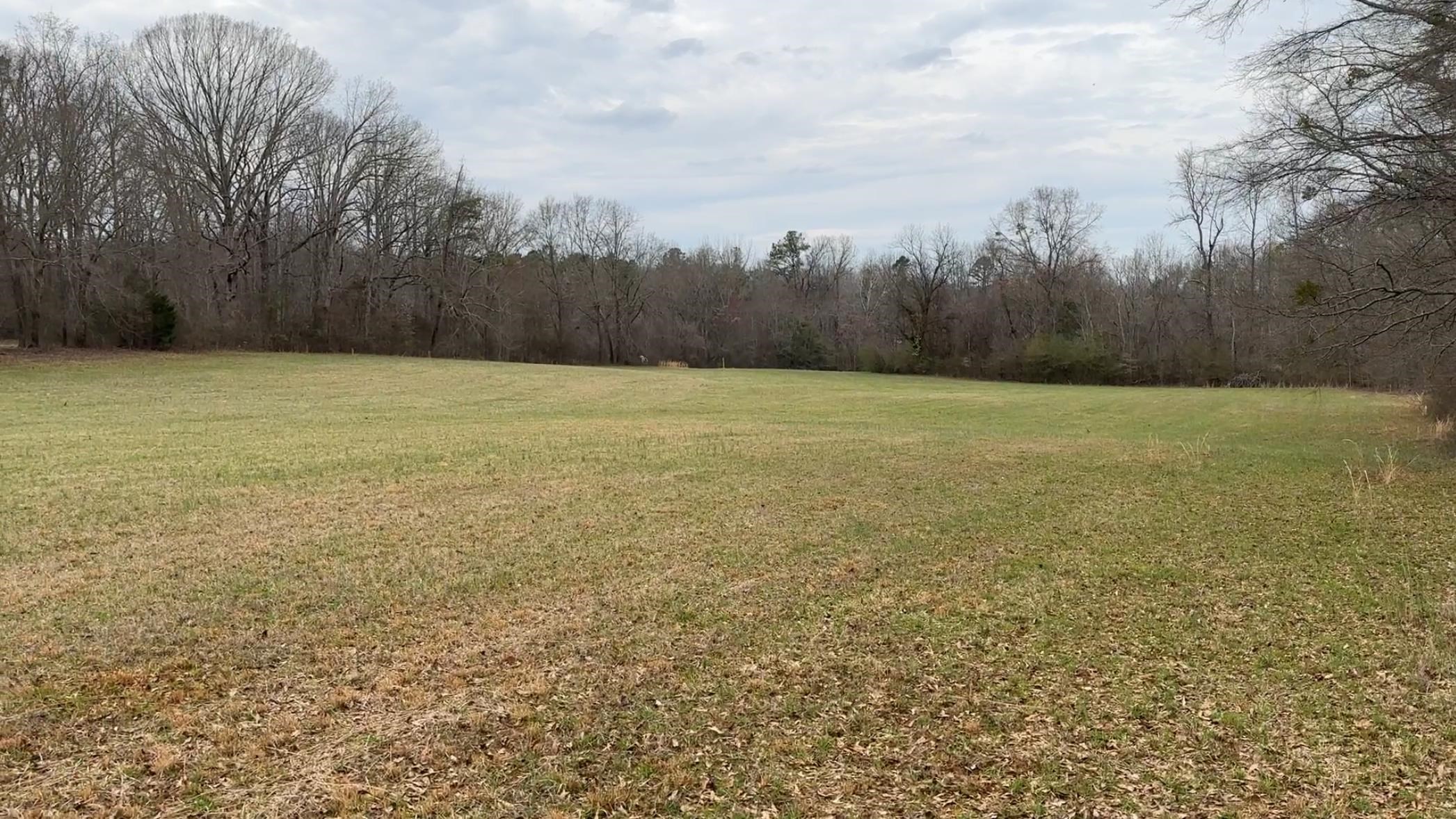 0 Church Road Chesnee, SC 29323 - Photo 2 of 4 Gallery Image 2