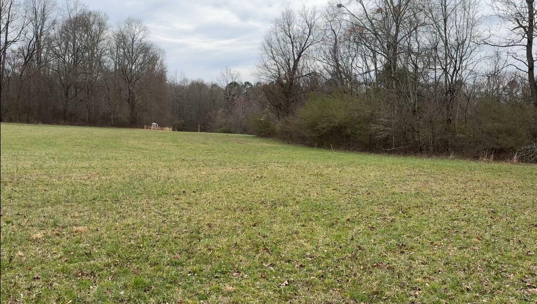 0 Church Road Chesnee, SC 29323 - Photo 3 of 4 Gallery Image 3