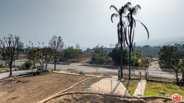 a view of a water with palm trees