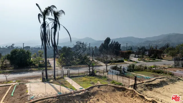 a view of a backyard