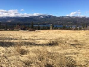15-xx Rickey Canyon Road, Unit LOT A Kettle Falls, WA 99141 - Photo 1 of 5 Gallery Image 1