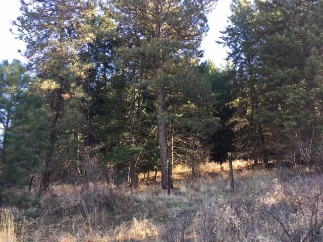 15-xx Rickey Canyon Road, Unit LOT A Kettle Falls, WA 99141 - Photo 5 of 5 Gallery Image 5