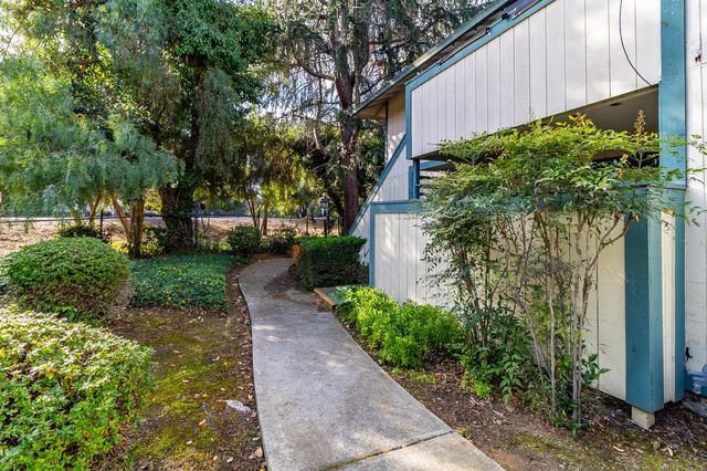 a view of a garden with pathway