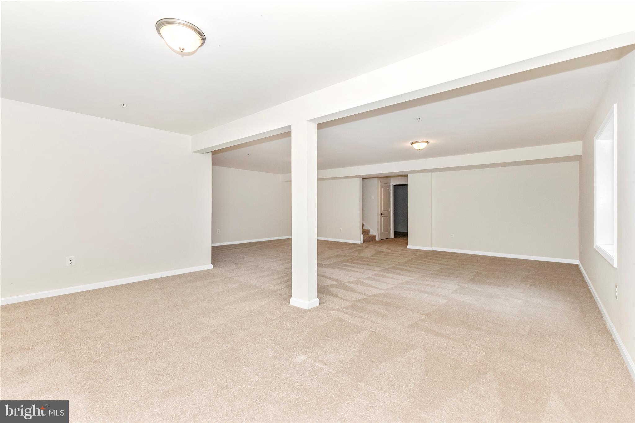 12328 Timber Grove Road Owings Mills, MD 21117 - Photo 37 of 52 Lower Level