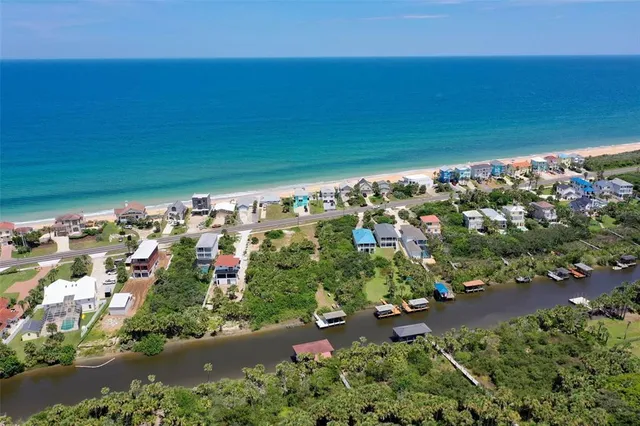 a view of a garden with plants