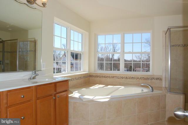 3002 Bender Ridge Court Baltimore, MD 21234 - Photo 22 of 25 Bath (Master)