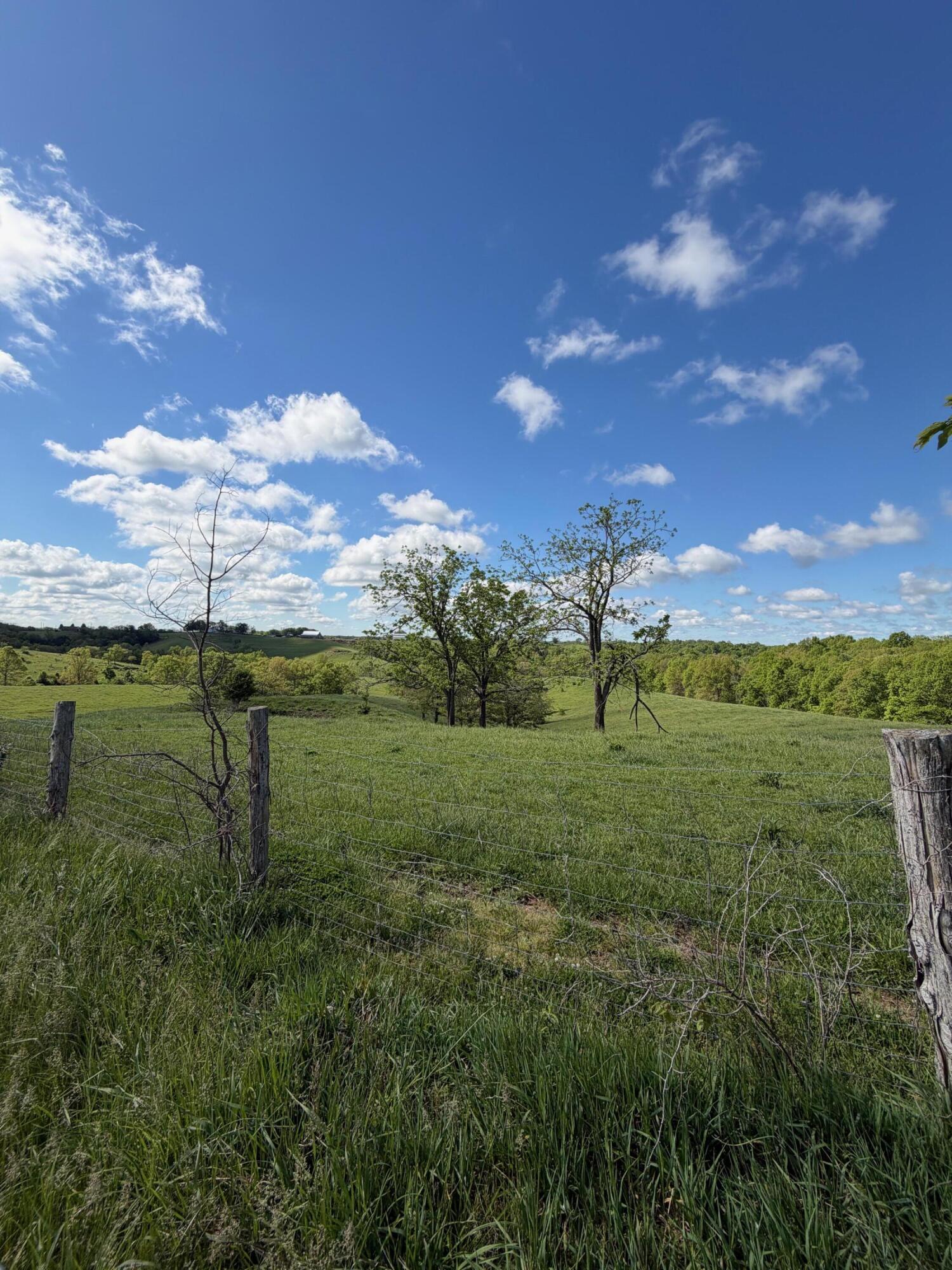 6.93-ac Chipman Ridge Road Williamstown, KY 41097 - Photo 5 of 10