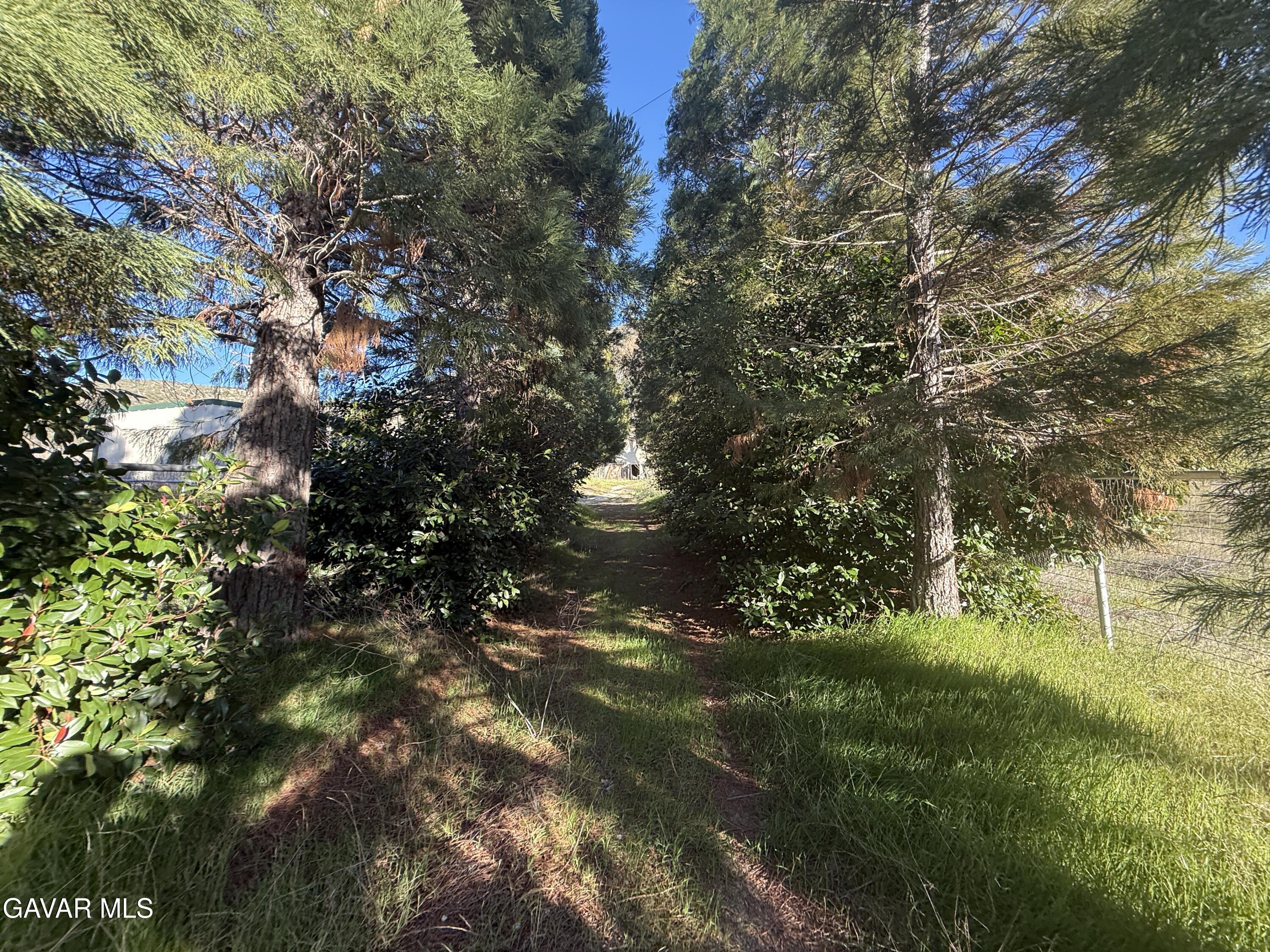 43160 Lake Hughes Road Lake Hughes, CA 93532 - Photo 2 of 3 2026-01-26 15.25.04