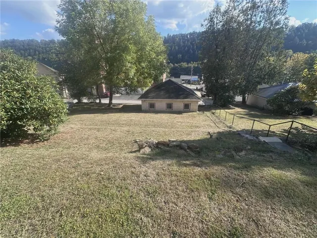 a view of dirt yard with a large tree