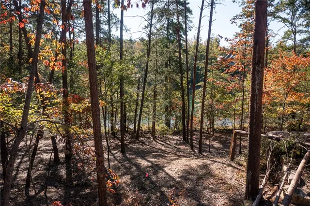 $565,000 | M12 Village View Drive, Sunset, SC 29685