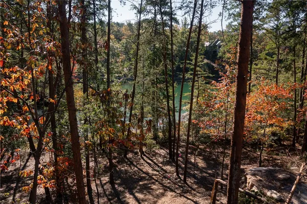 $565,000 | M12 Village View Drive, Sunset, SC 29685