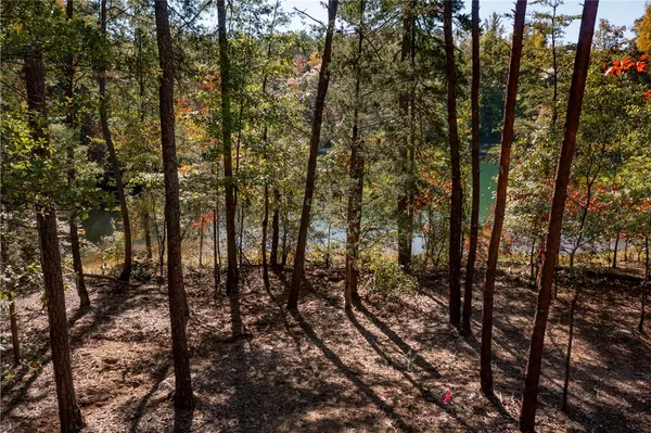 $565,000 | M12 Village View Drive, Sunset, SC 29685