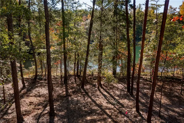 $565,000 | M12 Village View Drive, Sunset, SC 29685