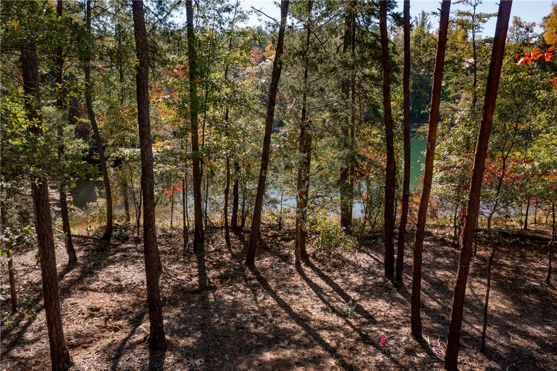 M12 Village View Drive Sunset, SC 29685 - Photo 5 of 9