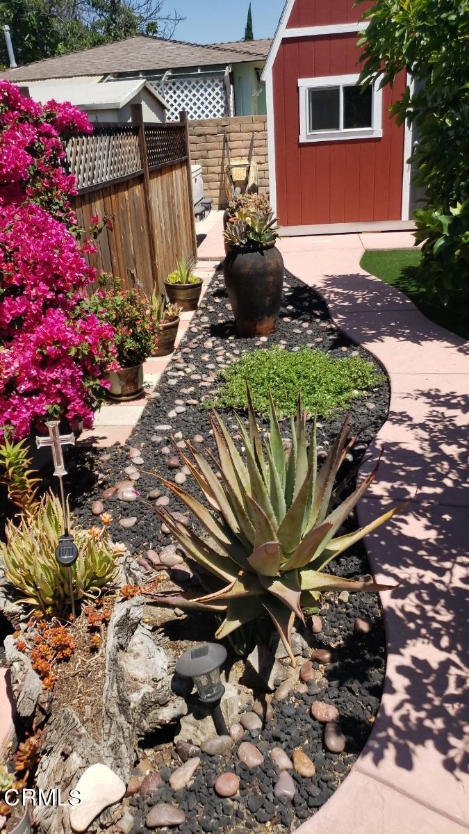 4147 Cochran Street Simi Valley, CA 93063 - Photo 42 of 58 Garden