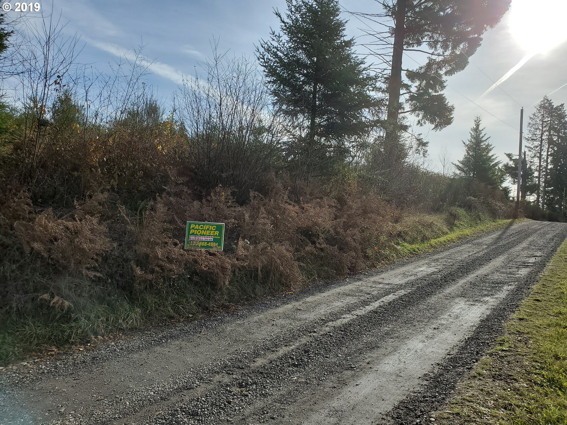 0 Southeast Warriner Road Corbett, OR 97019 - Photo 1 of 4