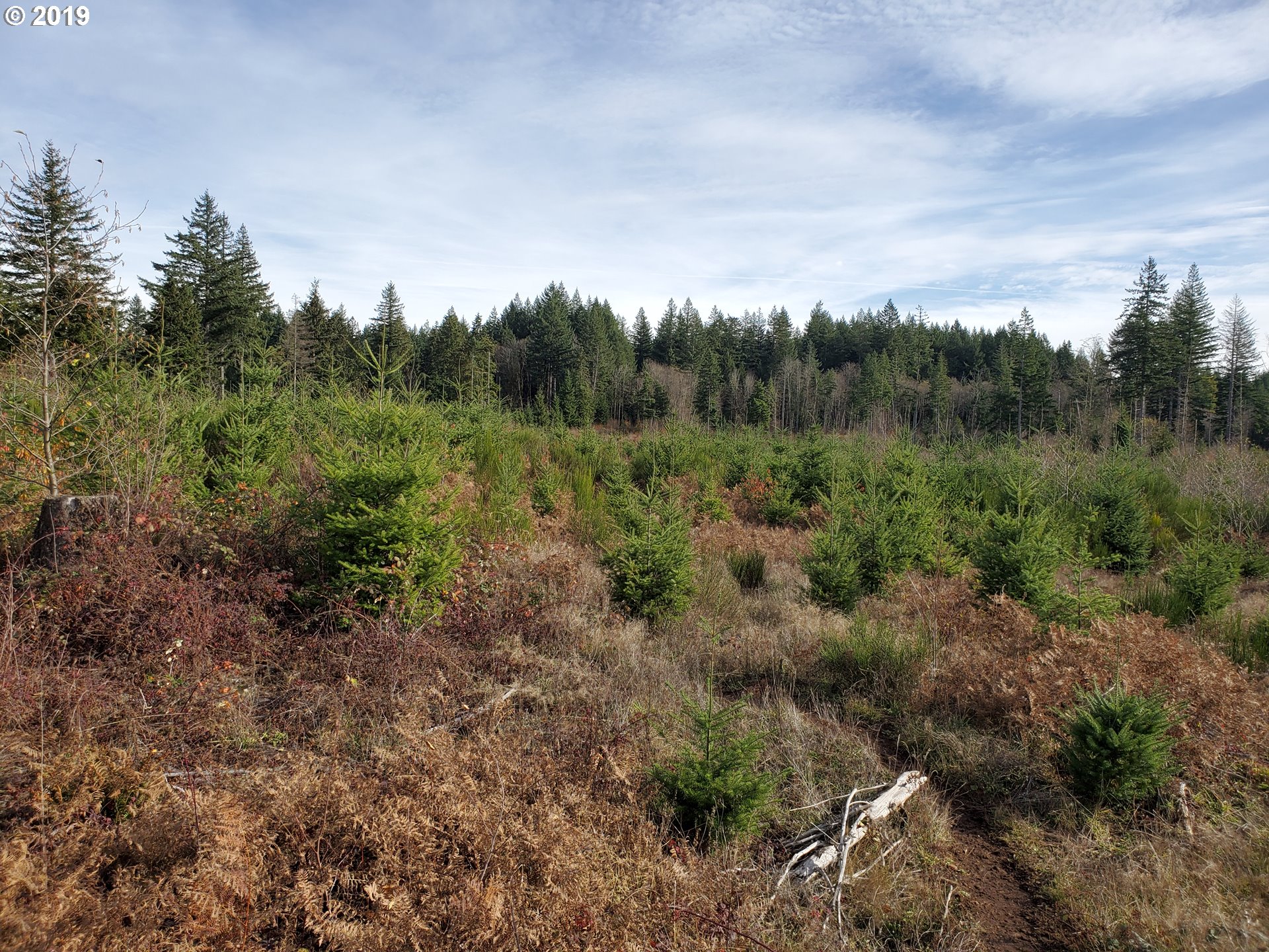 0 Southeast Warriner Road Corbett, OR 97019 - Photo 2 of 4