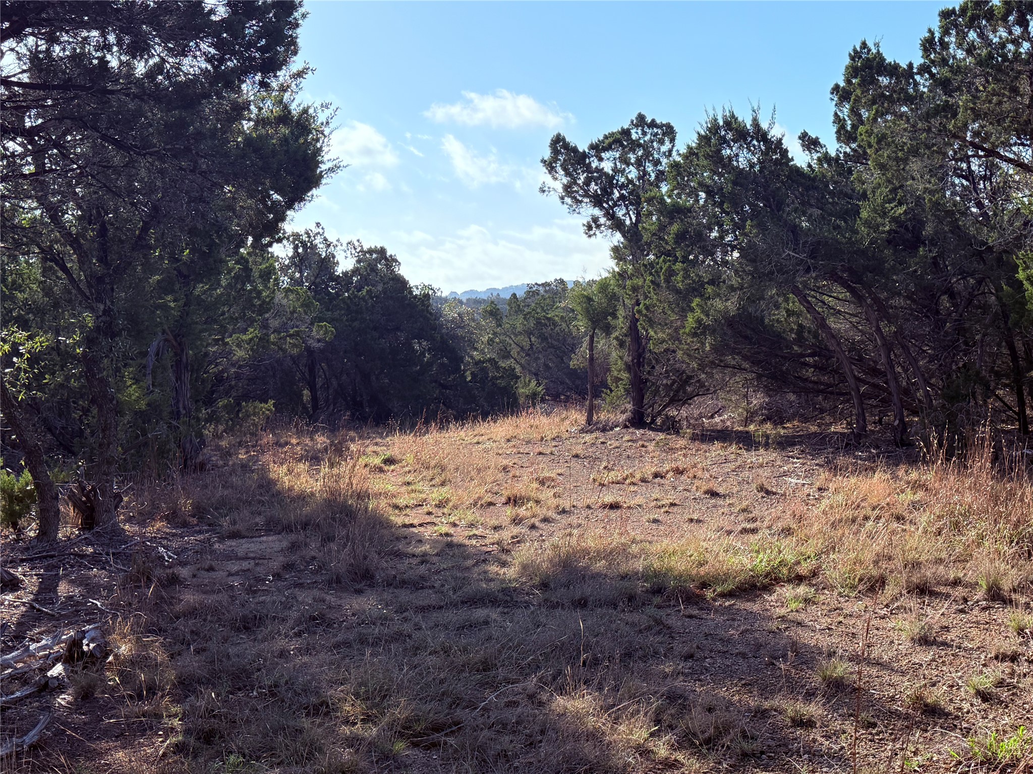 3600 Stagecoach Ranch Loop Dripping Springs, TX 78620 - Photo 9 of 18 View of nature