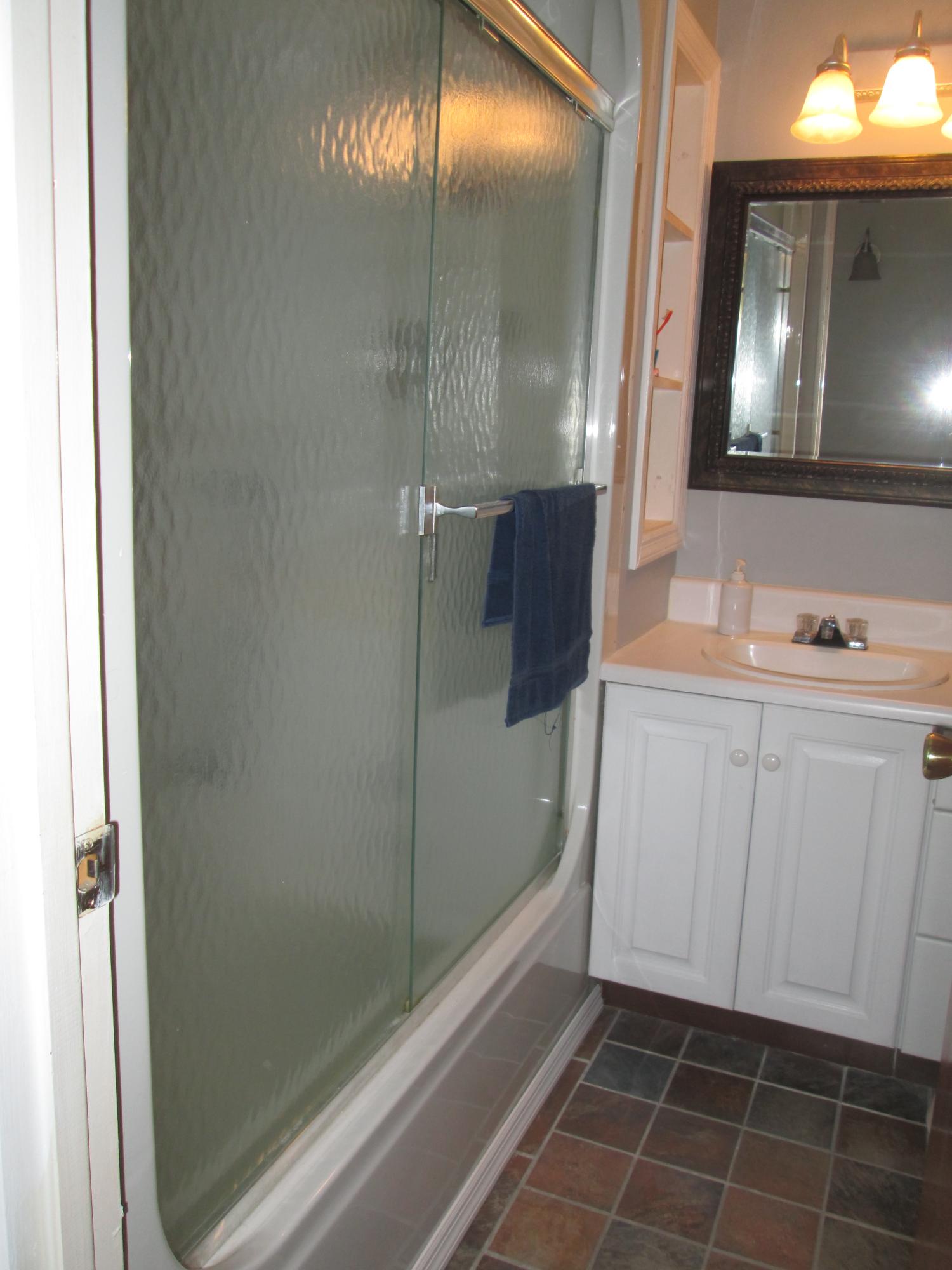 1730 Scott Lake Road Summerton, SC 29148 - Photo 10 of 12 Guest Bath