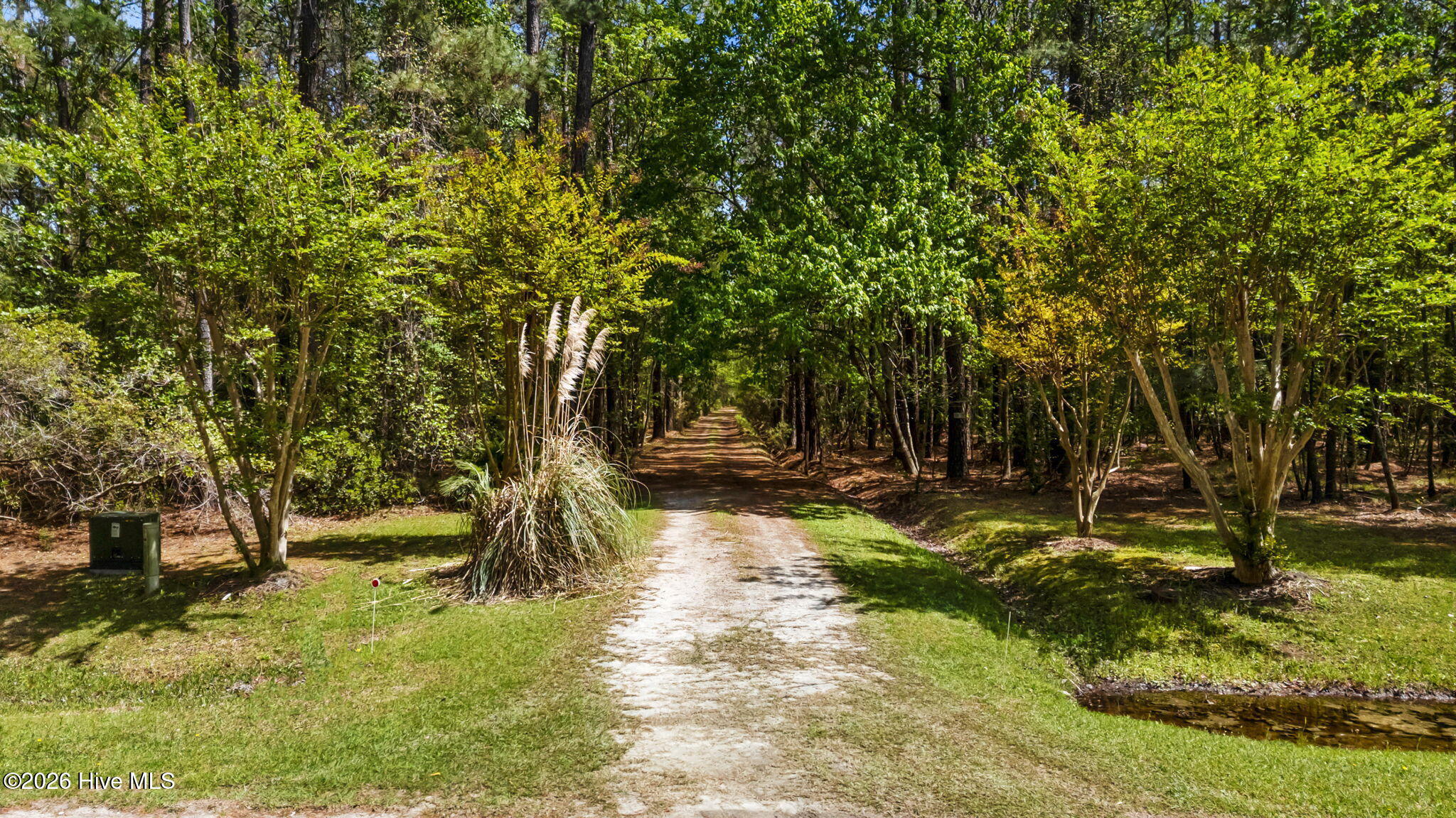 418 Spring Drive Aurora, NC 27806 - Photo 56 of 56 Driveway Enty