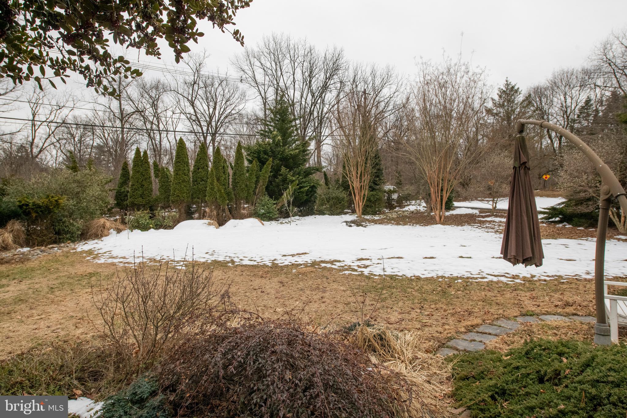 1532 Mill Road Jenkintown, PA 19046 - Photo 25 of 28 Front Yard Space