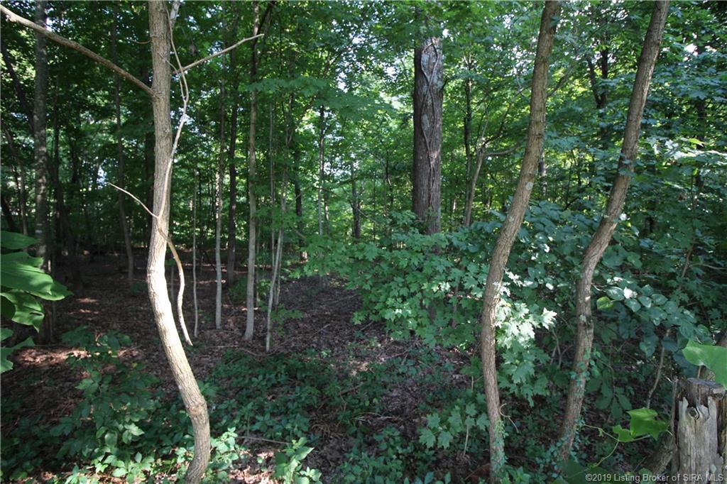 2115 Pfister Road Otisco, IN 47163 - Photo 13 of 41 Gallery Image 13