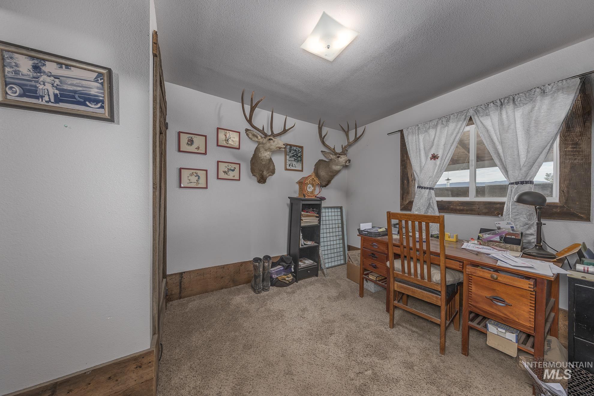724 Mundy Gulch Road Indian Valley, ID 83632 - Photo 19 of 43 Carpeted office with a textured ceiling